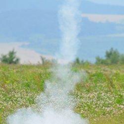 2013 Suche 29062013 Michal